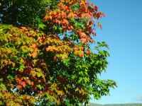 Indian Summer