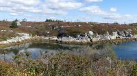 Küste bei Peggys Cove