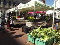 Markt in Boston