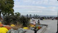 Montreal, Mount Royal