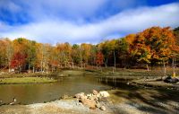 Omega Park in den tollsten Herbstfarben