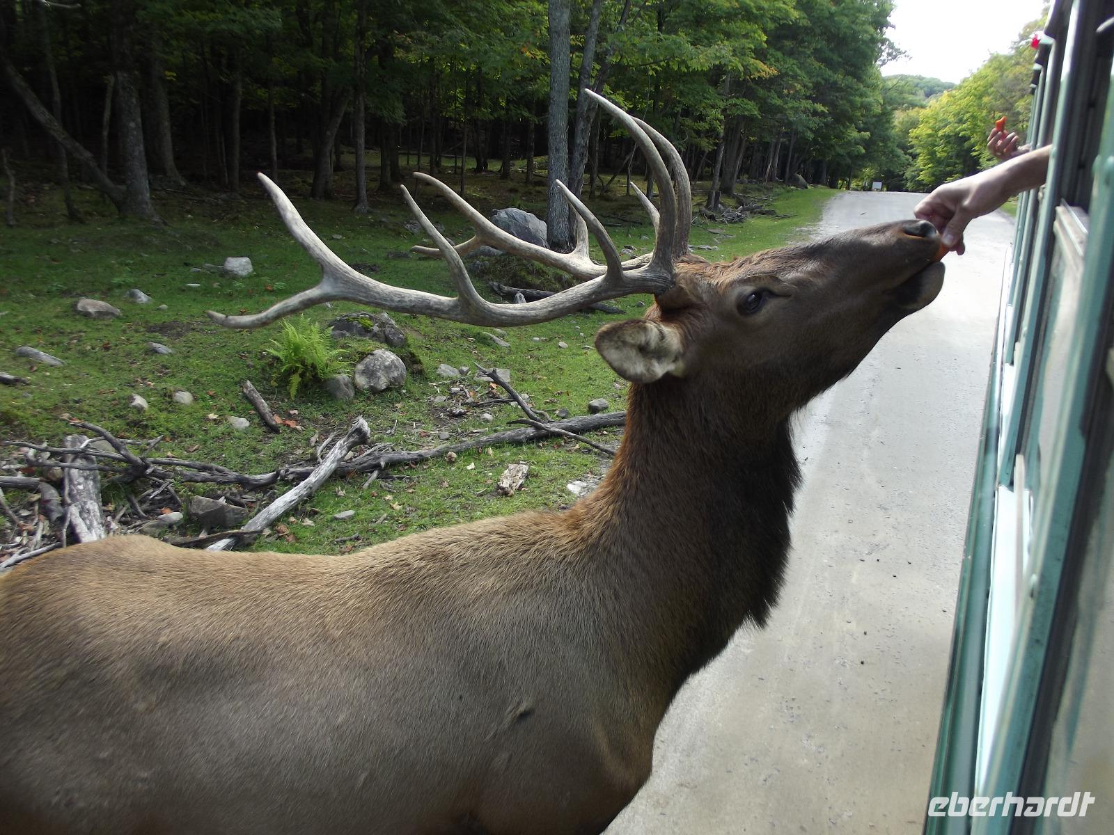 Omega Wildlife Park