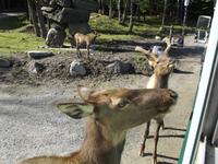 Omega Wildlife Park