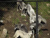 Omega Wildlife Park