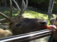 Omega Wildlife Park