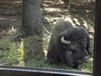 Omega Wildlife Park