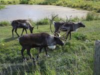 Omega Wildlife Park