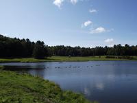 Omega Wildlife Park