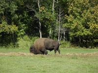 Omega Wildlife Park