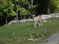 Omega Wildlife Park