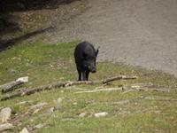 Omega Wildlife Park