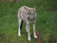 Omega Wildlife Park