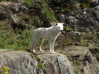 Omega Wildlife Park