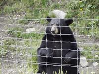Omega Wildlife Park