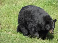 Omega Wildlife Park
