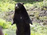 Omega Wildlife Park