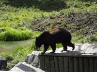 Omega Wildlife Park