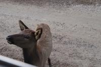 Omega Wildlife Park