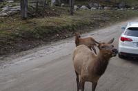 Omega Wildlife Park
