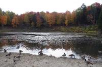 Omega Wildlife Park