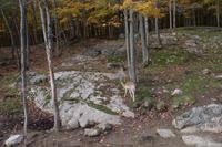 Omega Wildlife Park