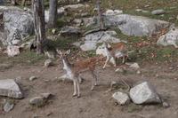 Omega Wildlife Park