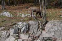 Omega Wildlife Park