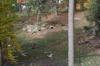 Omega Wildlife Park