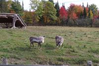 Omega Wildlife Park