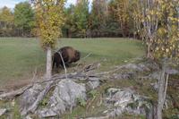 Omega Wildlife Park
