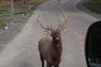 Omega Wildlife Park