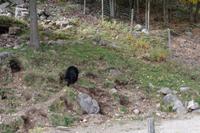 Omega Wildlife Park