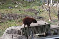 Omega Wildlife Park