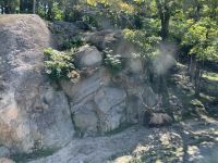 Omega Wildpark 