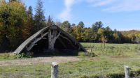 Omega Wildpark, Elchquartier