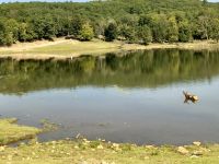 Omega Wildpark