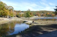 Omega Wildpark