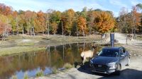 Omega Wildpark
