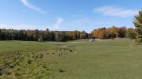 Omega Wildpark