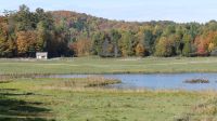 Omega Wildpark