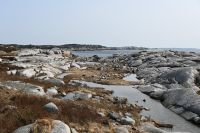 Ost-Kanada & USA - Nova Scotia - Peggys Cove (6)