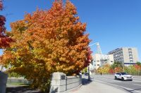 Ottawa