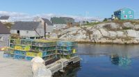 Peggys Cove, Hummerreusen