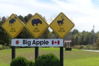 Rast am Big Apple