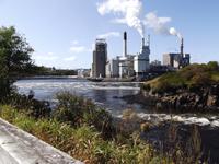 Saint John River
