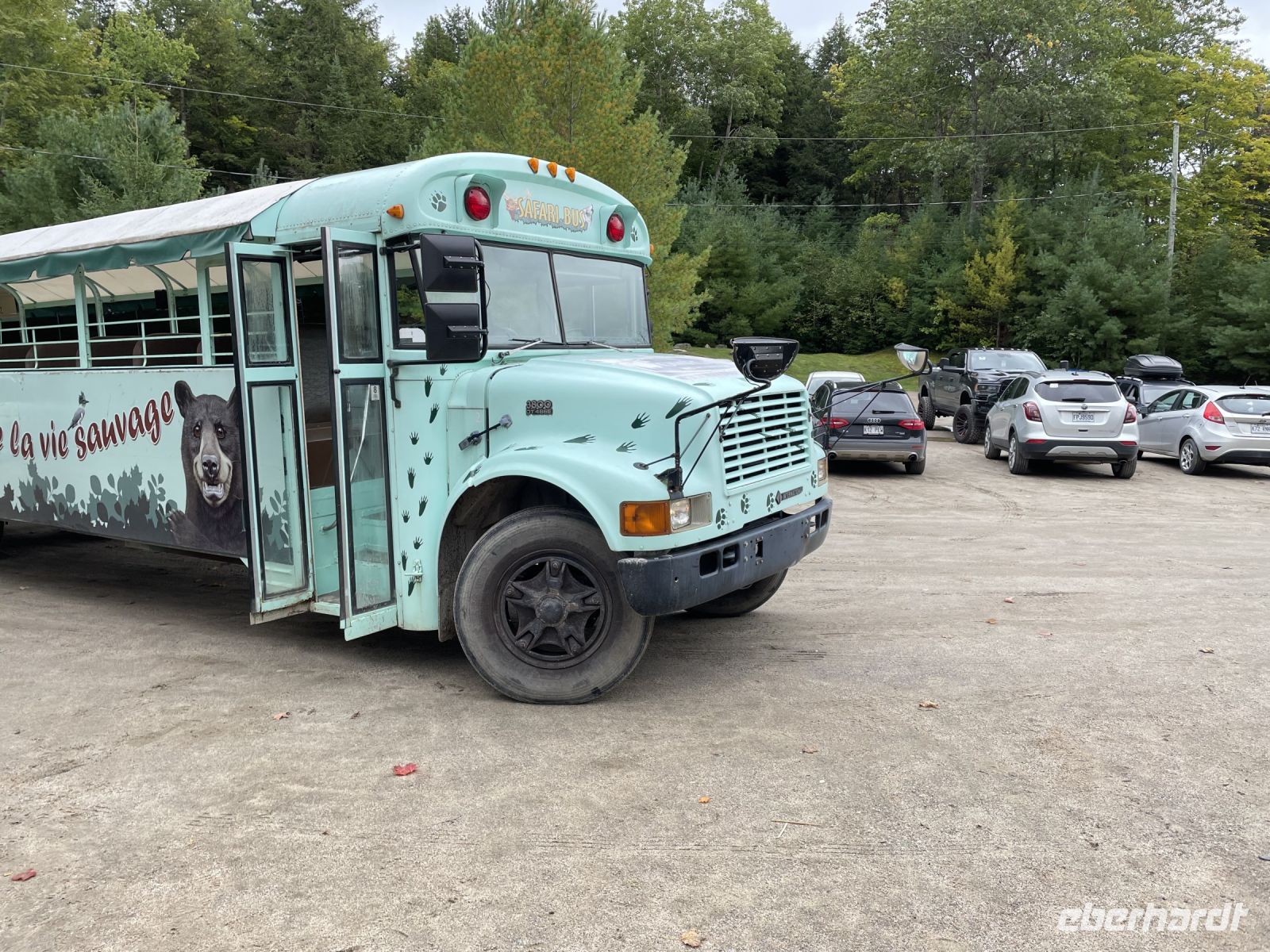 Unser Safari-Bus