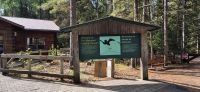 061 unterwegs im Logging Museum