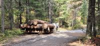 064 Logging Museum