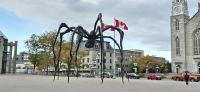 077 Spinne vor dem Kunstmuseum