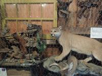 083 Sugar Shack